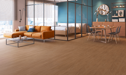 slider-ambiente-santarem
